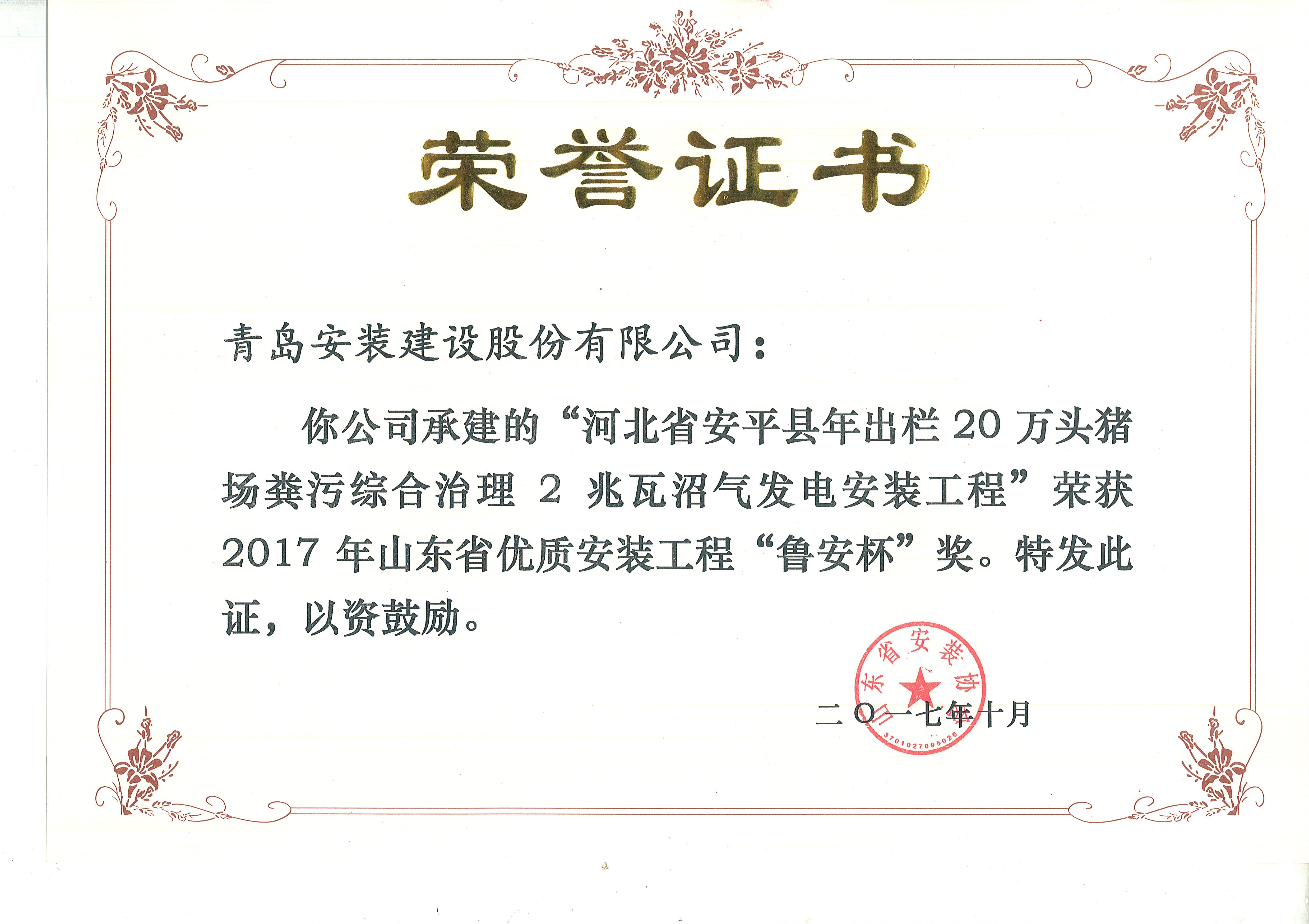 73、17魯安杯-河北安平2兆瓦沼氣發電.jpg