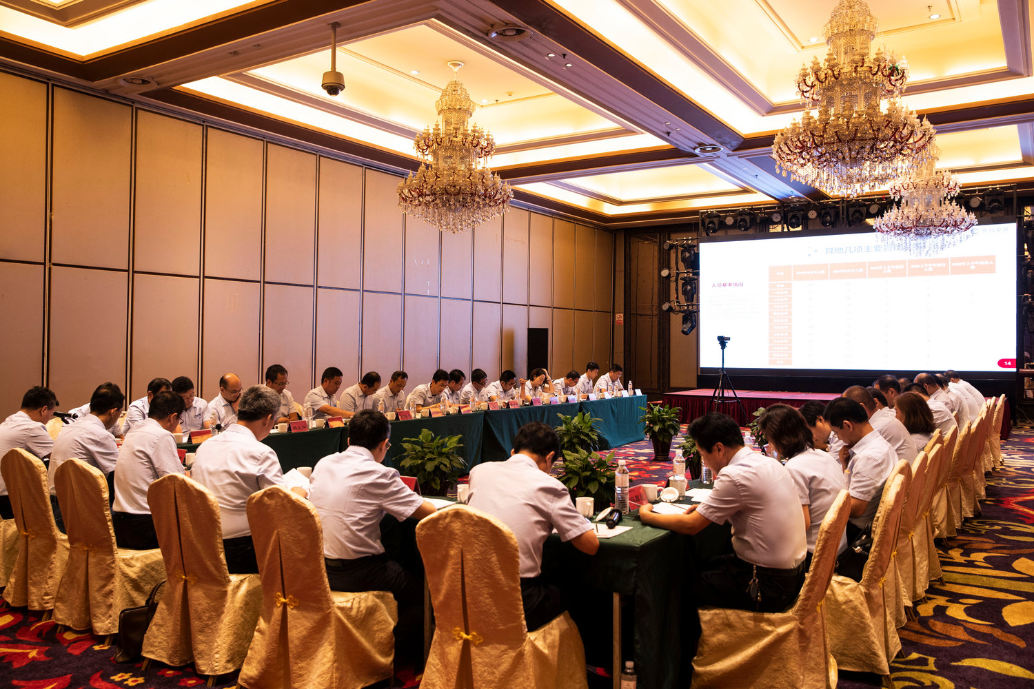 1564383691448907.jpg BC8I9859.JPG